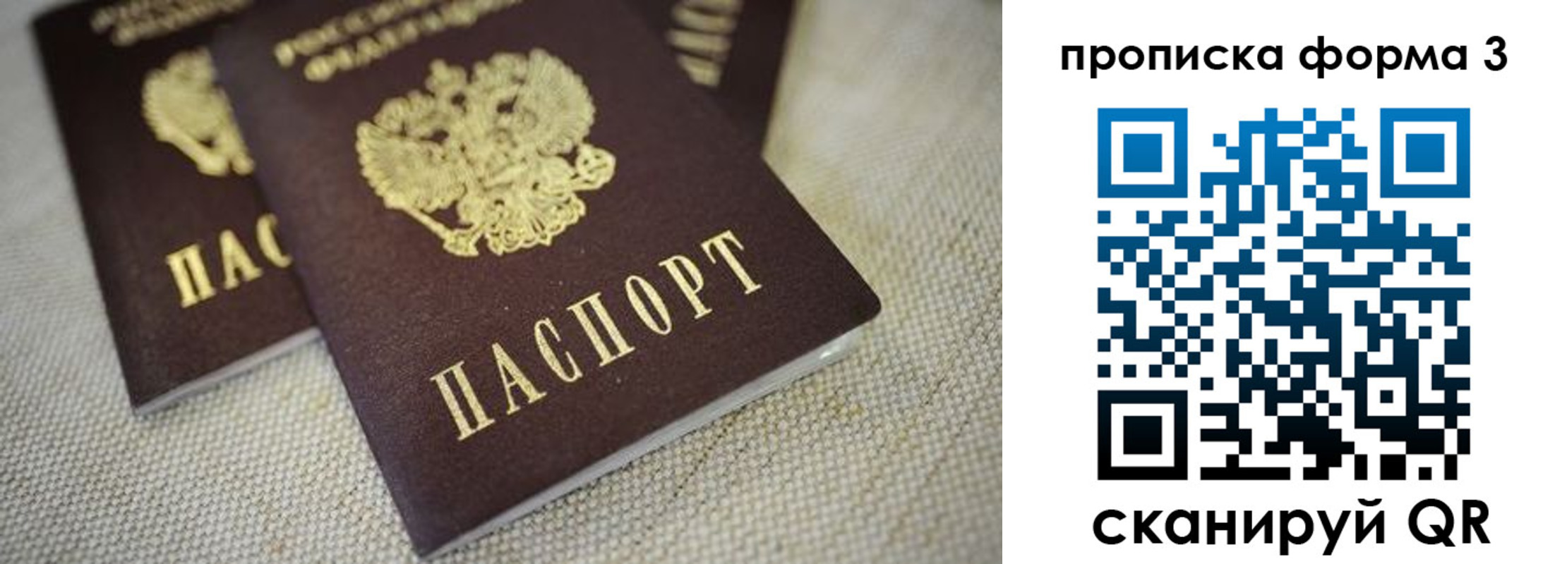 прописка поиск в Няндоме